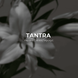Аромадифузор TANTRA 120 мл від ARDEMA - автопарфуми, аромадифузори, рефіли, фрагрантика