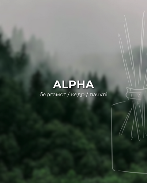 Автопарфюм ALPHA от ARDEMA - автопарфуми, аромадифузори, рефіли, фрагрантика