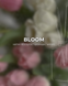 Автопарфюм BLOOM від ARDEMA - автопарфуми, аромадифузори, рефіли, фрагрантика