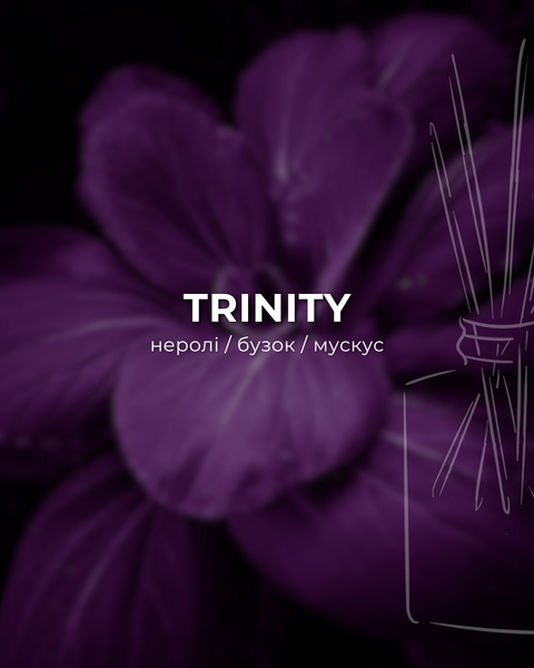 Автопарфюм TRINITY от ARDEMA - автопарфуми, аромадифузори, рефіли, фрагрантика