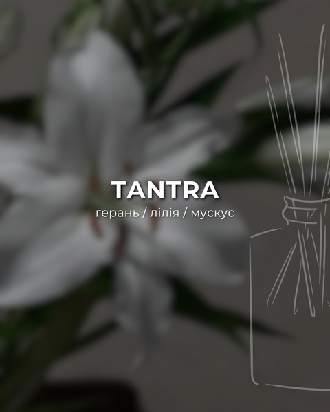 Тестер TANTRA 10 мл  от ARDEMA - автопарфуми, аромадифузори, рефіли, фрагрантика